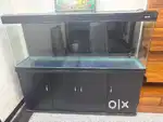 Aquarium aaa