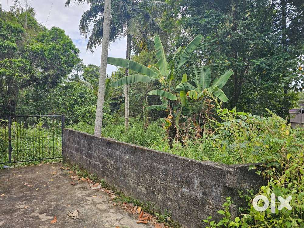 Residential plot 8.5 cents 200 metres from NH