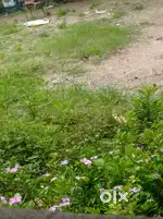 1400 sq   hai 6000 sq hai 3900 sq hai jisko lena ho contact kare
