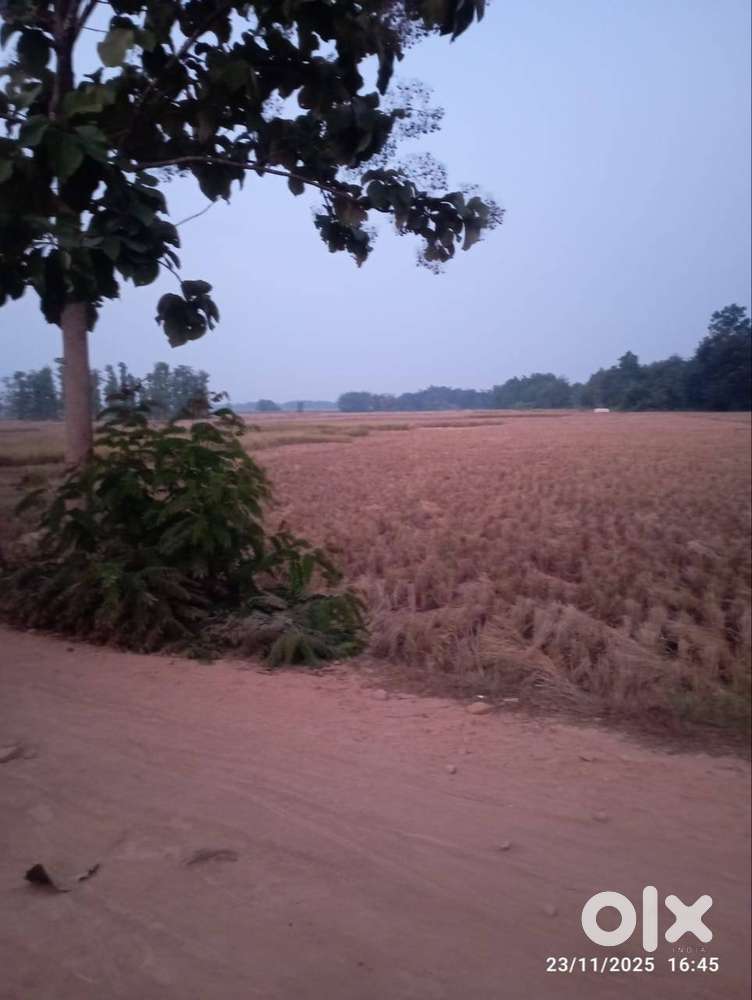 Urgent Land for sale Hojai Lanka Panchali