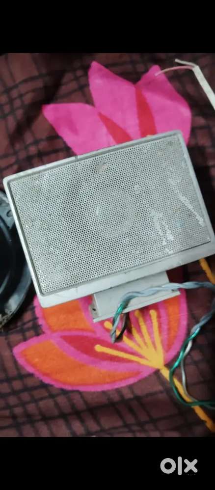 Original speaker