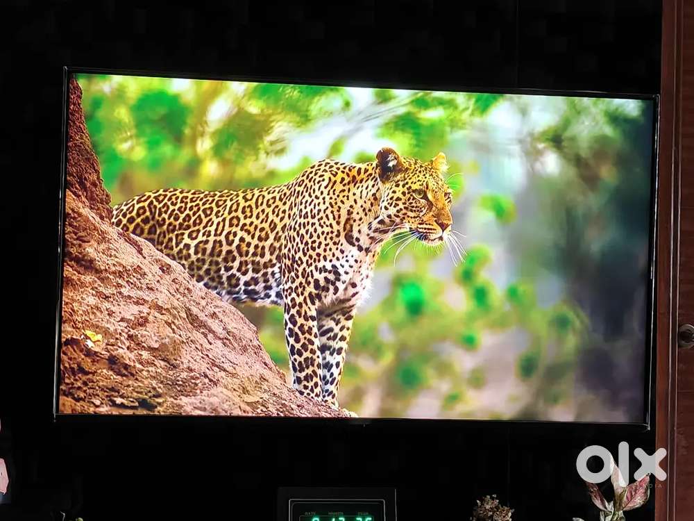 LG 55 4K Ultra HD Smart TV