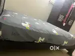 Queen Size Spring Mattress