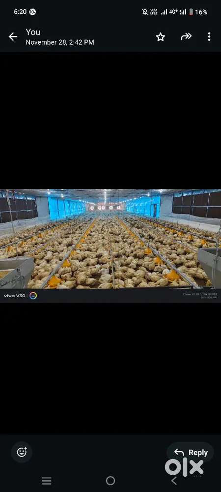 Ec poultry and agree land