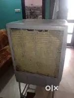 3 yeras old cooler