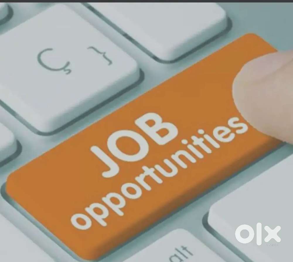 Looking Female for office and calling work