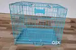 Bird, cat, puppy House