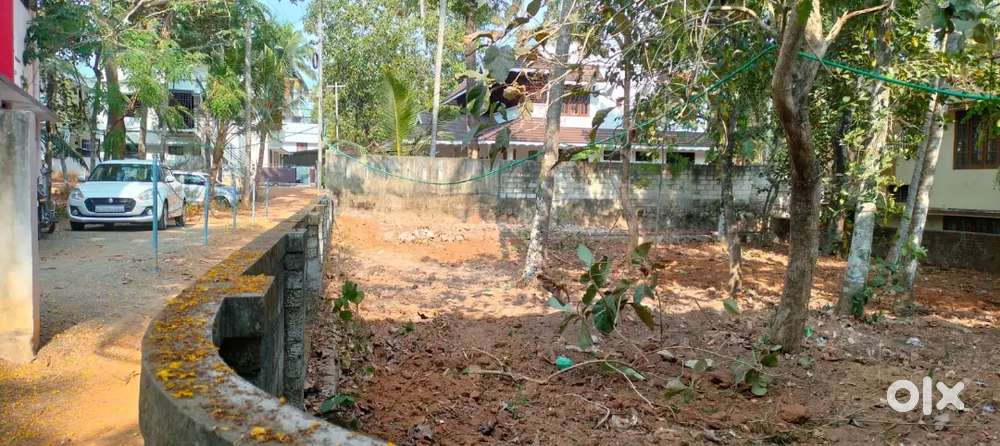10 cent premium plot  Parassala Jn. Rs 12 lakhs per cent (negotiable)