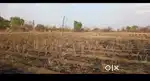 Agriculture land