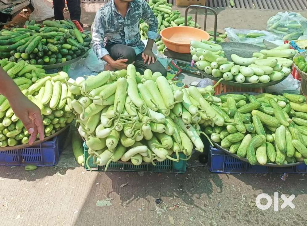 करोद मंडी में दुकान