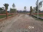 मेडिकल रोड गोरखपुर  लिटिल फ्लावर स्कूल के आस पास प्लाट