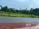 65.5cent per cent 1.5 lakh