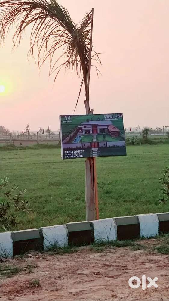 Luxury nri form House