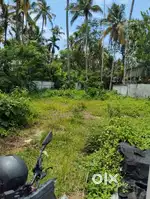 Plot for sale