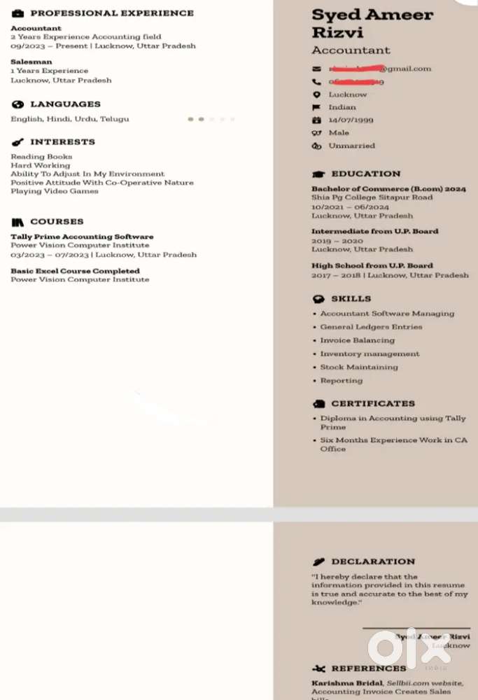 Accountant experience