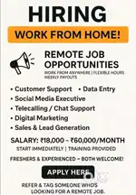 Work From Home / Field –Sales Promoter Needed
