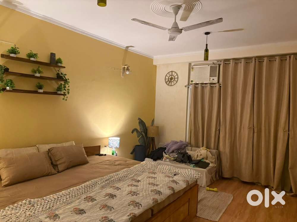 Full time house help plus dog walker