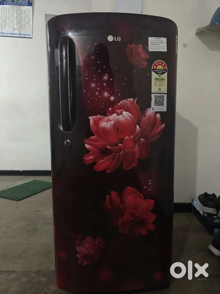 LG Fridge 5 star 185 Litre