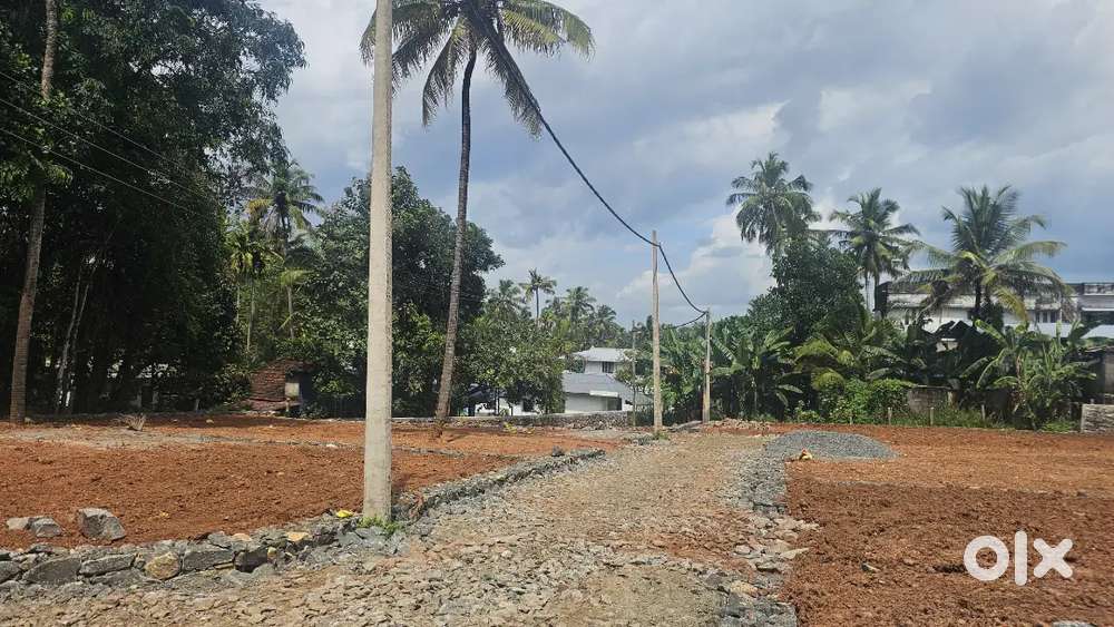 Thrissur olluril 5,10,15 cent plot for sale