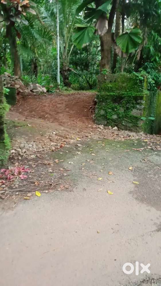 Plot for sale Vadakara Villiappally സ്ഥലം വില്പനക്ക്