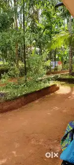 Residential plot for sale - 11 cents Prime Land