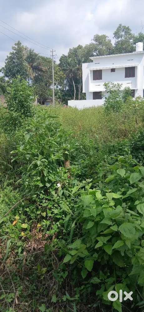 വസ്തു വിൽക്കാനുണ്ട്