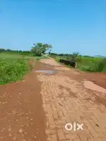 Investment plot sell at khorda bajpur anda
