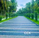 Low Budget Farmland for sale in Pollachi road