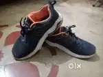 Campus shoes