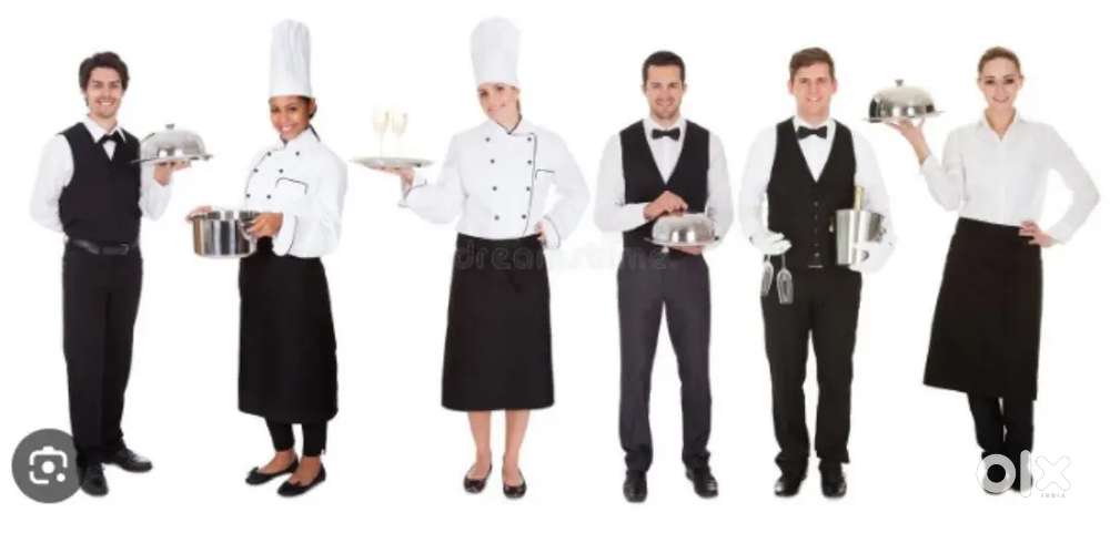 Wanted waiters /Stewards /freshers for Restaurant/hotels