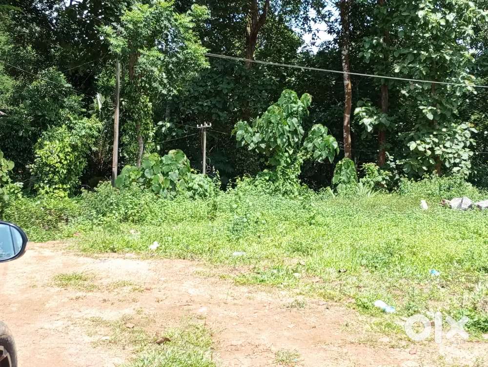 Urgent sale: 91 Cent, Plot Ready Land, Kothala, Pampady