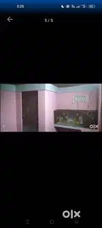 RENT HOUSE SINGLE ROOM