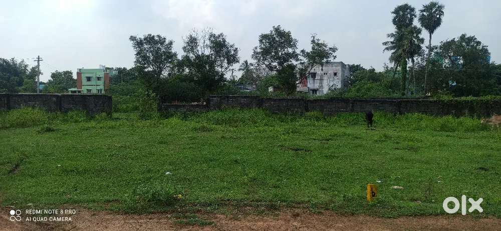 Plot Sale In Maraimalai nagar