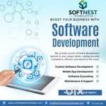 web designing and development app development software development