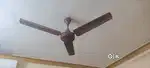 Crompton Ceiling fan