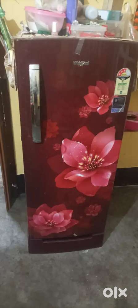 Singal door fridge