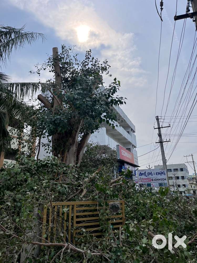 2bhk rent, at sarada nagar road side