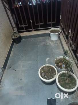 Flower pots