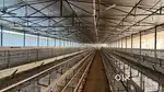 Layer poultry farm for sale in ajmer