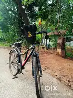 Modified cycle  with cycle front light horn back light and Tyre light