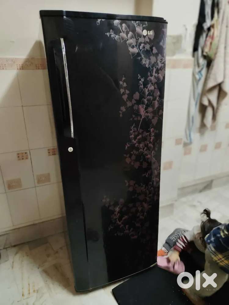 Frige 275 litre big size