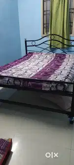 Queen Size Cot
