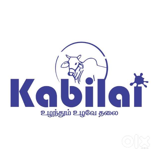 Morning Milk delivery