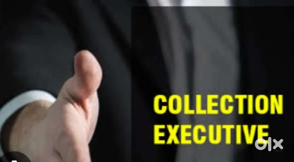 Collection Executive And Team Manager