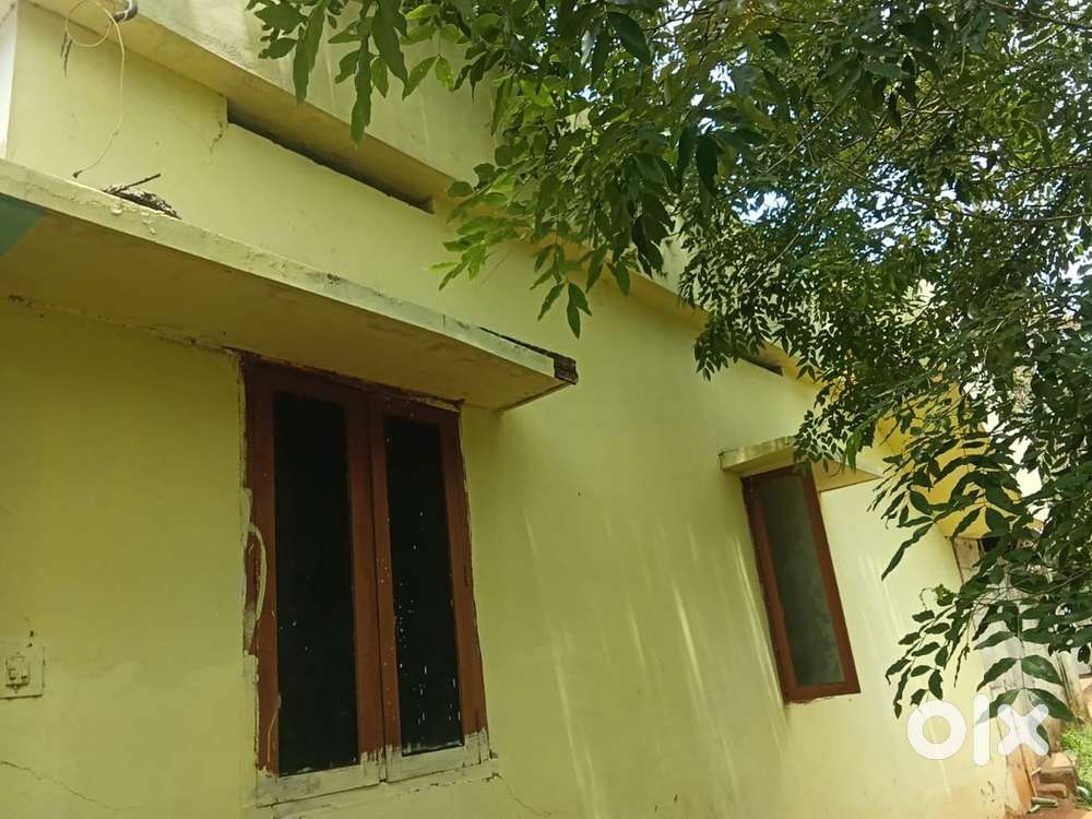 Two bedroom Hall, attach bathroom, kitchen storeroom