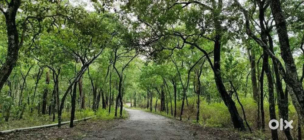 വെള്ളം കയറാത്ത ചുറ്റു മതിലോടൂ കൂടിയ സ്ഥലവും പഴയ വീടും