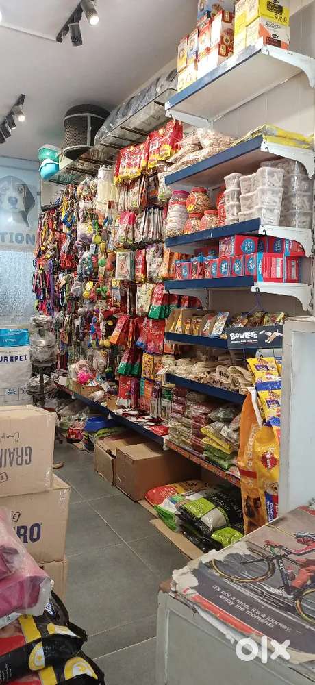 pet shop need helper