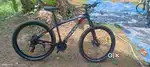 Cradiac xplorer 29t 21 gear