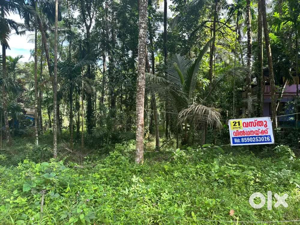 21 cent near Thennoor town