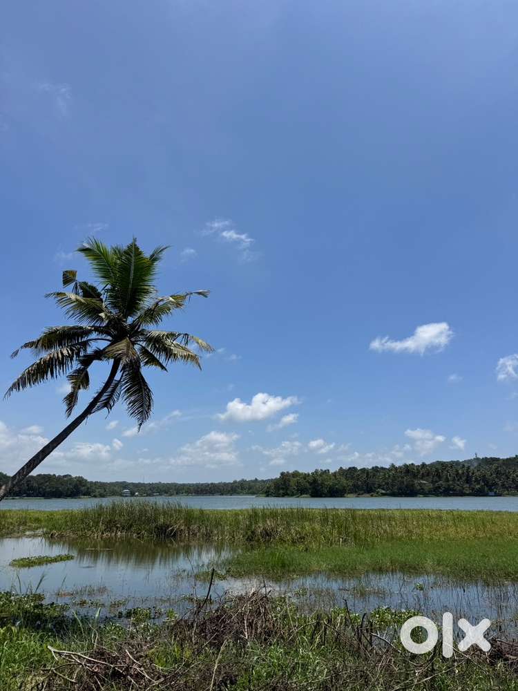 FOR SALE LAKE FRONTAGE 33 CENT PROPERTY IN VELLAYANI LAKE TRIVANDRUM